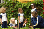 Projeto Horta - Educa��o Infantil Objetivo Alphaville 