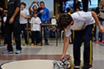 Torneio Objetivo de Robótica: o duelo das máquinas