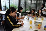 Projeto Museus: explorando os lugares que abrigam arte                                              