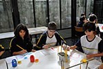 Projeto Museus: explorando os lugares que abrigam arte                                              