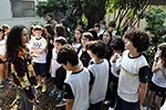 Projeto Museus: explorando os lugares que abrigam arte                                              