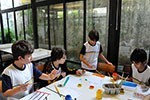 Projeto Museus: explorando os lugares que abrigam arte                                              