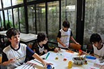 Projeto Museus: explorando os lugares que abrigam arte                                              