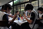 Projeto Museus: explorando os lugares que abrigam arte                                              