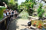 Dia de pesquisa científica no zoológico de biomas