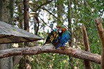 Dia de pesquisa científica no zoológico de biomas