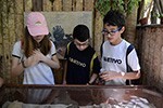 Dia de pesquisa científica no zoológico de biomas