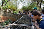 Dia de pesquisa científica no zoológico de biomas