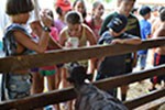 Acampamento