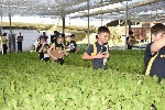 Estudo do meio em Salesópolis:  o rio Tietê em foco                                                 