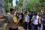 Estudo do meio: alunos aprendem na prática a história do ciclo do café                              