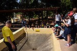Estudo do meio: alunos aprendem na prática a história do ciclo do café                              