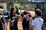 Estudo do meio: alunos aprendem na prática a história do ciclo do café                              