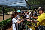 Estudo do meio: alunos aprendem na prática a história do ciclo do café                              