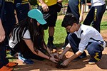 Estudo do meio: alunos aprendem na prática a história do ciclo do café                              