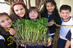 Projeto Horta: aprendendo sobre as fases do plantio                                                 