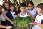 Projeto Horta: aprendendo sobre as fases do plantio                                                 