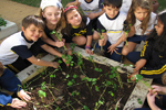 Projeto Horta: aprendendo sobre as fases do plantio                                                 