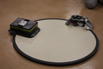 Alunos do Colégio Objetivo participarão da RoboCup 2010, em Cingapura