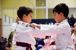 24.º Torneio da Amizade – Judô promove amizade e espírito esportivo