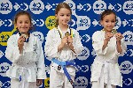 24.º Torneio da Amizade – Judô promove amizade e espírito esportivo