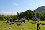 Compreendendo a colonização do Brasil em São Vicente