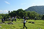 Compreendendo a colonização do Brasil em São Vicente