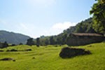 Compreendendo a colonização do Brasil em São Vicente