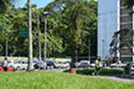 Compreendendo a colonização do Brasil em São Vicente