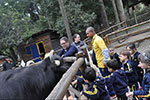 Minifazenda: um cantinho da natureza