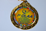 Catarina Amarante, medalha de ouro, atinge maior pontuação na OLAA — Olimpíada de Astronomia